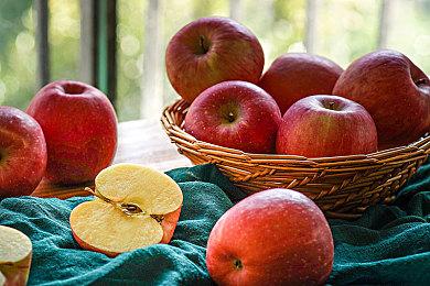 同名动漫改编游戏《怪兽8号》公开首支预告片